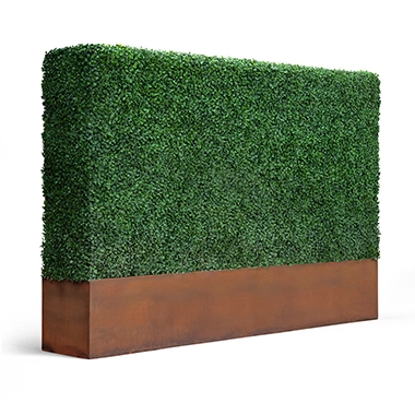 Artificial green hedge in armore coat rectangle planter on white background 