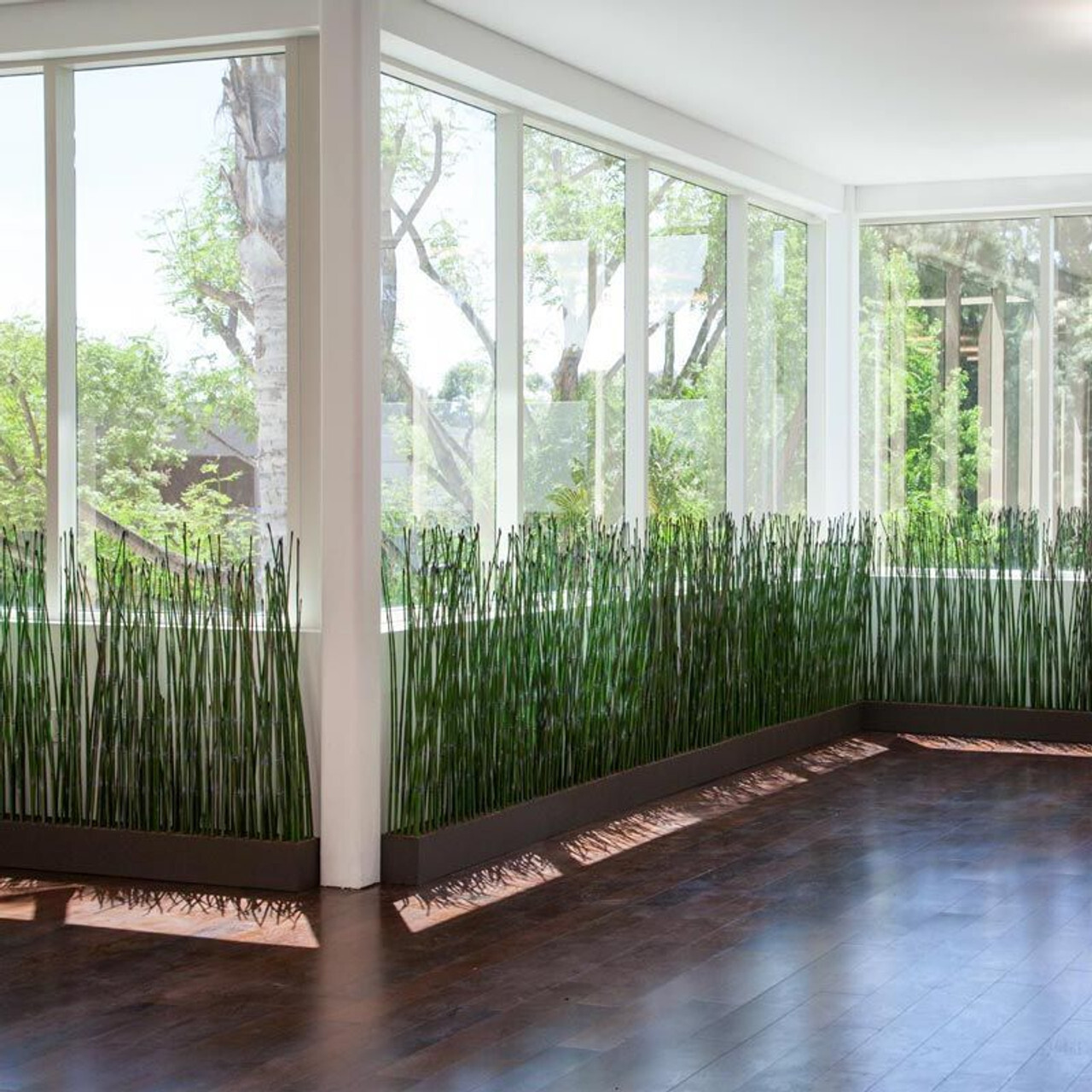 Planters with horsetail reeds along a window