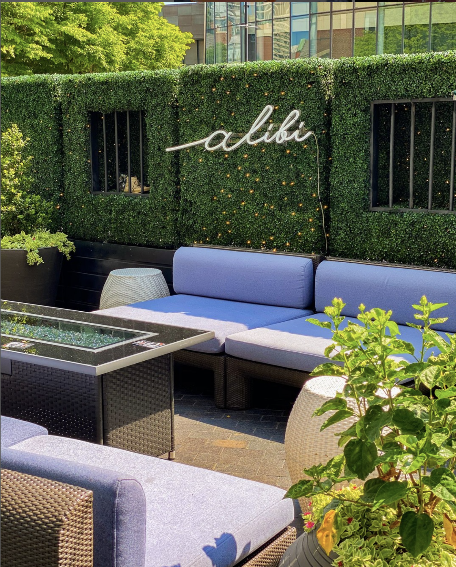 Outdoor seating area with artificial hedges in backdrop