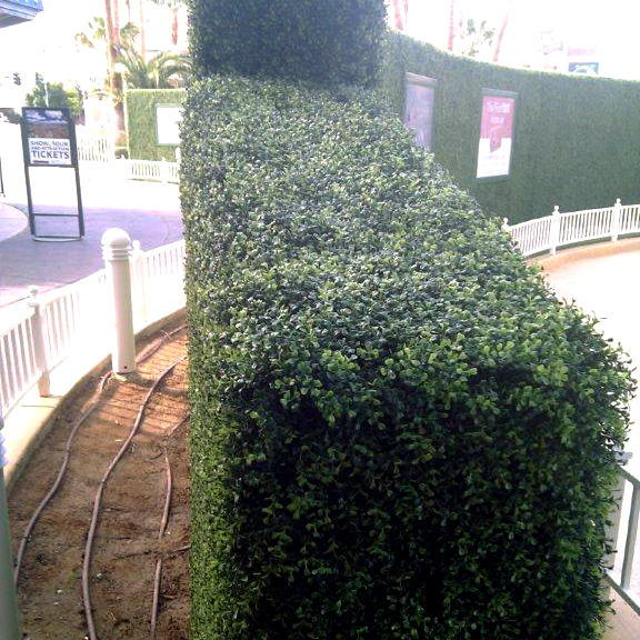 Artificial boxwood hedges create privacy anywhere while improving aesthetics. | Artificial Plants Unlimited blog