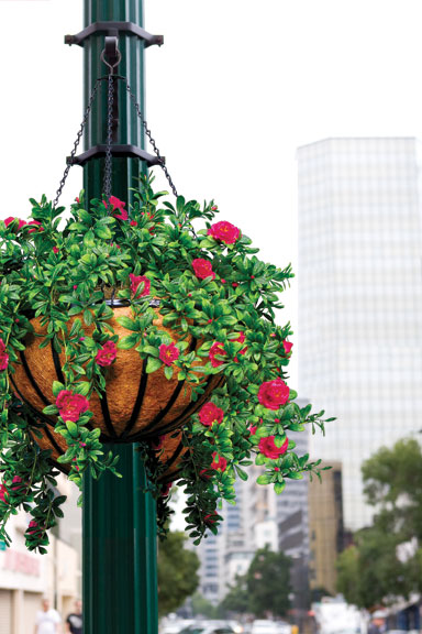 hanging-basket